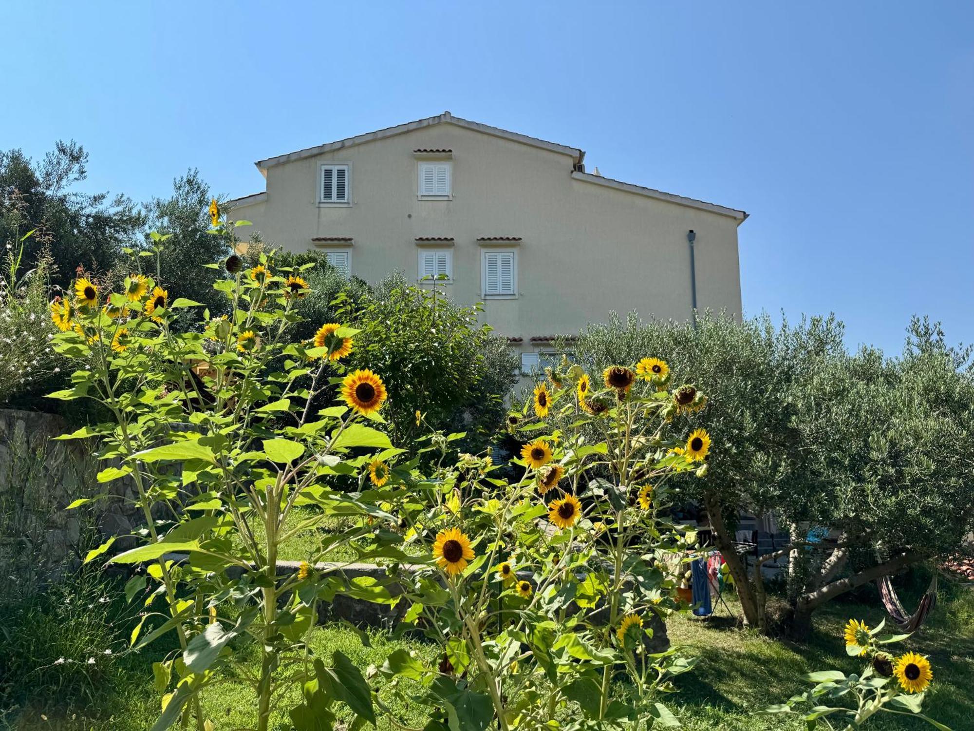 Apartamento Maricic Banjol